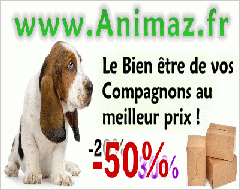 Animalerie discount