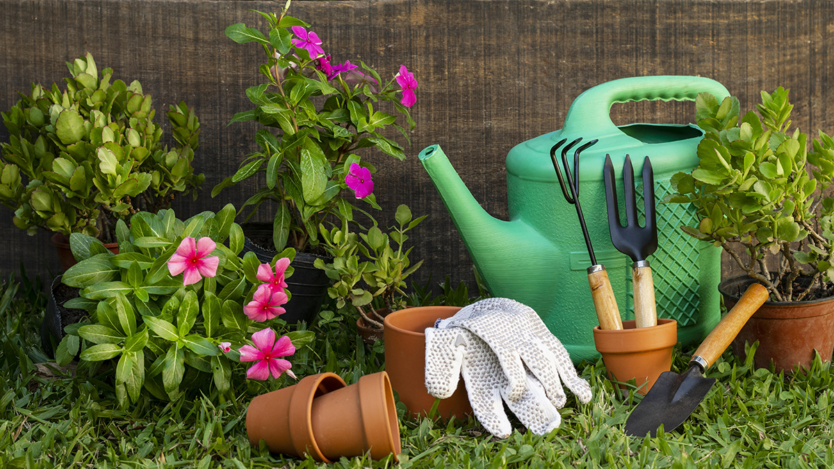 Jardinage facile le forum des jardiniers sur & Jardin — free download